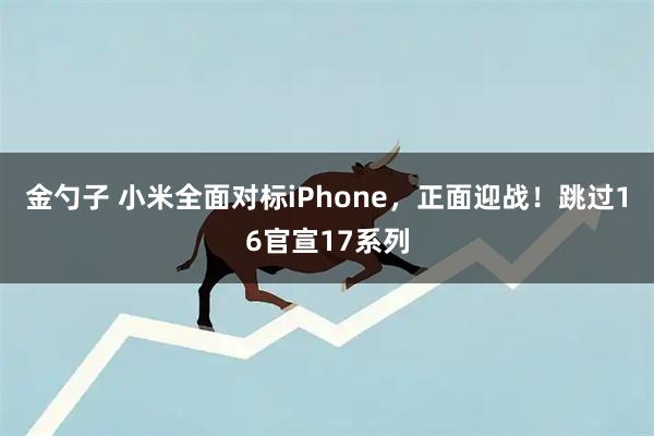 金勺子 小米全面对标iPhone，正面迎战！跳过16官宣17系列