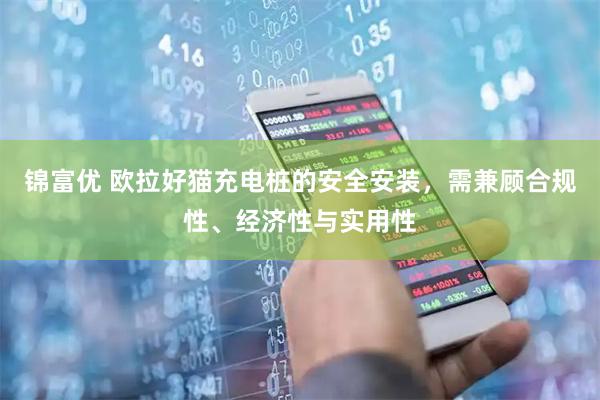 锦富优 欧拉好猫充电桩的安全安装，需兼顾合规性、经济性与实用性