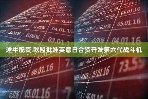 途牛配资 欧盟批准英意日合资开发第六代战斗机