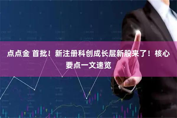 点点金 首批！新注册科创成长层新股来了！核心要点一文速览
