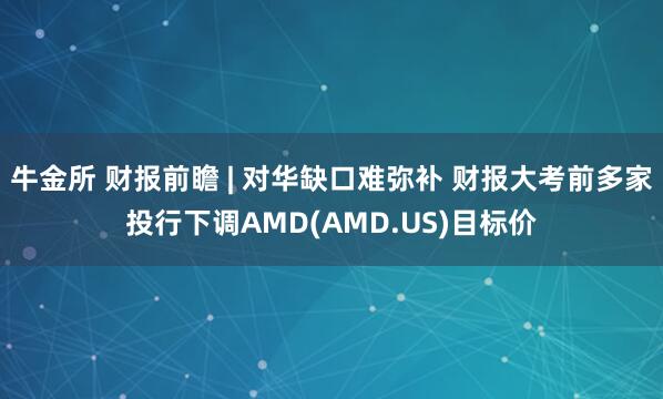 牛金所 财报前瞻 | 对华缺口难弥补 财报大考前多家投行下调AMD(AMD.US)目标价