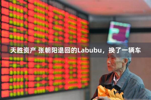 天胜资产 张朝阳退回的Labubu，换了一辆车